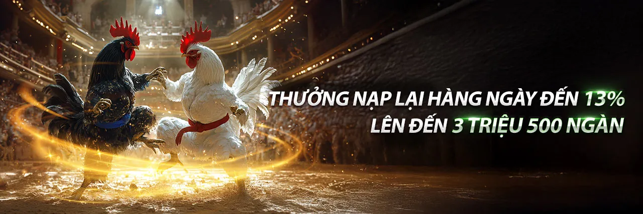 Đá Gà Trực Tuyến Hấp Dẫn tại w88you nhà cái
